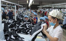 TPP sẽ giúp GDP của Việt Nam tăng thêm 10%