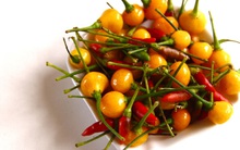 Loại ớt "nhà giàu" có giá hơn nửa tỷ đồng, chưa ăn cũng thấy sang miệng