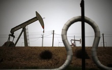 Giá dầu đứt mạch giảm 2 phiên