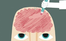 8 sự thật ai cũng cần biết về bộ não "nhớ nhớ, quên quên" của chúng ta