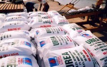 Thận trọng áp thuế phòng vệ thương mại cho phân bón