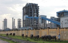 Đạm Ninh Bình gồng mình trả nợ Trung Quốc