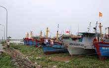 Bão giật cấp 12-14, không được lơ là