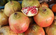 Loại quả 100% hàng Tàu: Chị em thích thú nhấm nháp