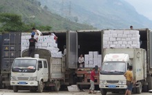 Số liệu thống kê thiếu chính xác: Chống gian dối và 'cát cứ'