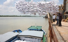 Tìm thị trường cho hạt gạo