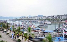 Quảng Ninh: Tập đoàn Tuần Châu thu phí qua cảng đối với khách du lịch là bất hợp lý?