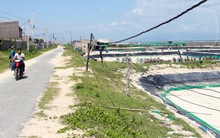 Vẫn di dời dân nếu dừng dự án điện hạt nhân