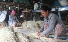 Kiếm tiền tỷ từ chổi đót