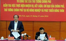 Vụ cấp khống 800 giấy lưu hành thủy sản: Không thể xử lý 'nội bộ'