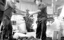 Cuối năm, hàng nhái lại tung hoành