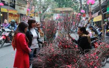 Lịch nghỉ Tết Âm lịch năm 2017 của viên chức và người lao động