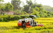 Tăng trưởng nông nghiệp âm, tái cơ cấu và câu trả lời của Bộ trưởng