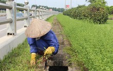 Cắt cỏ tốn 700 tỷ, chiếu sáng, thoát nước…tiêu hết bao nhiêu?