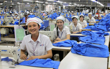 Thêm một doanh nghiệp ngành dệt may trả cổ tức cao 45%