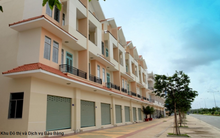 TDC chi 100 tỷ đồng trả cổ tức bằng tiền tỷ lệ 10%