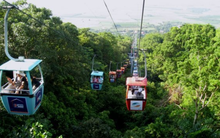 Cáp treo Núi Bà Tây Ninh: 9 tháng lãi gần 88 tỷ đồng, vượt 13% chỉ tiêu lợi nhuận cả năm