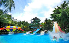 Công viên nước Đầm Sen chốt quyền nhận cổ tức 36% bằng tiền