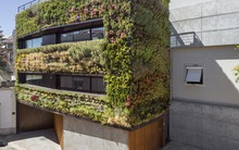 Căn nhà 4 tầng phủ toàn cây xanh luôn thơm ngát mùi hương quanh năm