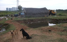 Dự án "con bò sữa" ngốn hàng nghìn tỷ đồng khiến Quốc Cường Gia Lai sa lầy 7 năm nay