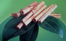 Một doanh nghiệp sản xuất kinh doanh tinh dầu quế sắp niêm yết