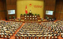 Phân công chuẩn bị Kỳ họp thứ 2, Quốc hội khóa XIV