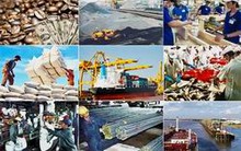 Chương trình hành động của Chính phủ nhiệm kỳ 2016-2021