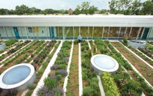 Đầu tư nông nghiệp nhìn từ một số mô hình tại Việt Nam