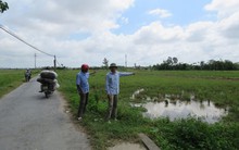 Tự ý phân lô bán nền đất nông nghiệp tại Hải Phòng: Gần 20ha đất ruộng bỏ hoang