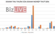 Doanh nghiệp thủy sản: Lợi nhuận tăng vọt bất chấp khó khăn bủa vây