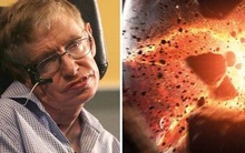 Stephen Hawking: "Chúng ta đang sống trong thời kỳ nguy hiểm nhất lịch sử nhân loại"