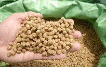 "Sốc": Sẽ tái cấp thủ tục lưu hành cho các sản phẩm thức ăn thủy sản được “cấp khống” giấy phép lưu hành