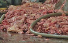 Con số khủng khiếp về ung thư có nguyên nhân từ thực phẩm bẩn