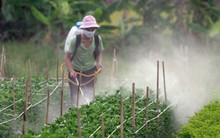 "Nước ta là nước nông nghiệp sao chúng ta lại phải nhập nhiều thế?”