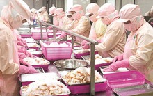 Vua tôm Minh Phú quý 2 thoát lỗ nhờ lãi khác