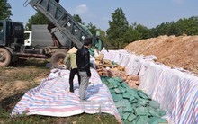 Quảng Bình tiêu hủy trên 606 tấn hải sản tồn kho