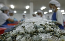 Mỹ vẫn áp thuế chống bán phá giá con tôm