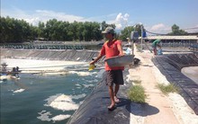 Vì sao Tổng cục Thủy sản chưa công bố sản phẩm bị thu hồi?