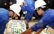 Sẽ thanh tra Nhà máy đạm Ninh Bình trong tháng Sáu này