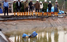 Yêu cầu Công ty Bồng Miêu dừng ngay hoạt động khai thác vàng