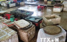 Lo sợ nhiễm độc, người dân quay lưng với các loại hải sản