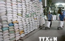 Theo dõi sát tình hình để điều hành hiệu quả việc xuất khẩu gạo