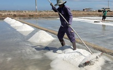 Diêm dân Bình Thuận thua lỗ vì muối rớt giá