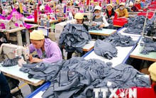 Việt Nam-New Zealand đón đầu cơ hội đầu tư, mở rộng kinh doanh