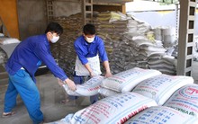 Kim ngạch nhập khẩu nông lâm thủy sản giảm nhẹ so với cùng kỳ