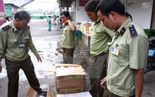 Phát hiện hàng nghìn kg lòng lợn đang phân hủy, bốc mùi hôi thối