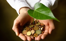 Để gọi vốn phải có ý tưởng đầu tư độc đáo