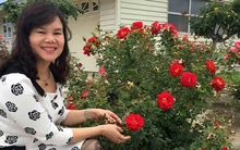 Nhà ngoại cảm Phan Thị Bích Hằng là một trong những lãnh đạo quan trọng tại Tập đoàn Phương Trang