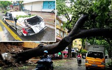 Bão số 1 gây thiệt hại nặng nề: Do dự báo sai?