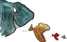 Chuẩn bị thâu tóm “đất vàng” Thụy Khuê, Vinaconex 3 lên kế hoạch phát hành 50 tỷ đồng trái phiếu